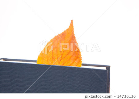 Fall of reading 14736136