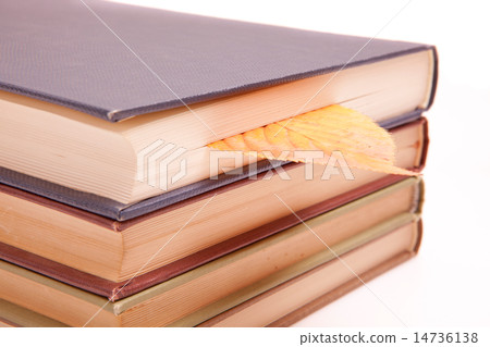 讀書的下降 14736138