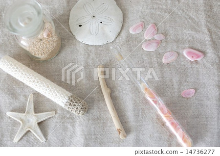 海灘來了 14736277