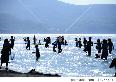 海水浴客戶的剪影 14736323