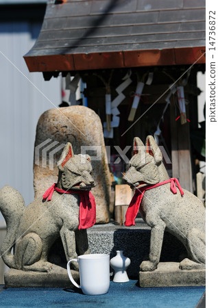 Inari in alley -2 14736872