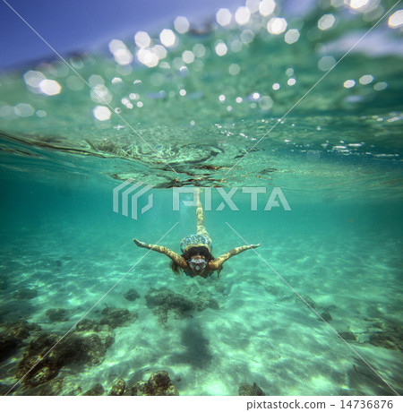Collage with Woman Diving to Underwater Collage with Woman Diving to Underwater 14736876