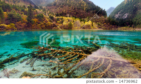 Jiuzhaigou National Park,Sichuan China 14736962
