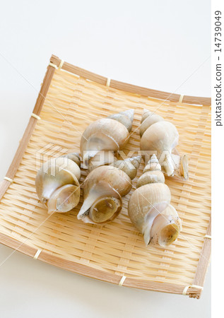 White bear shellfish 14739049