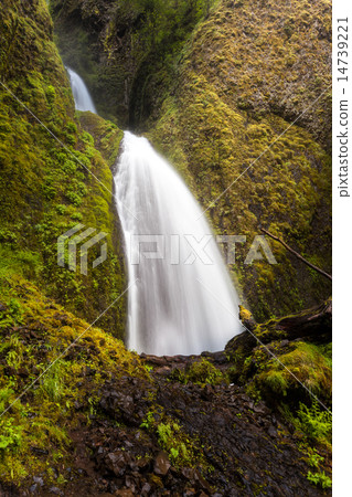 Wahkeena falls in Oregon, USA Wahkeena falls in Oregon, USA 14739221
