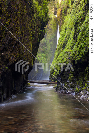Oneonta falls in Columbia river gorge, Oregon 14739226