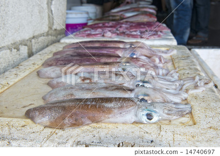Male india fish market 14740697