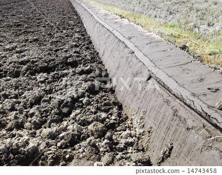 在將水放在稻田之前，我會畫山脊 14743458