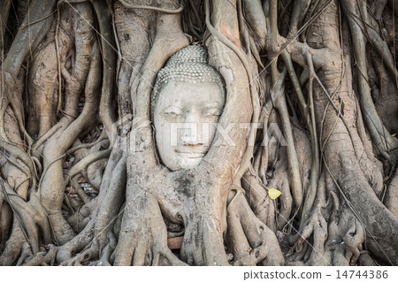 Buddha head in Wat Mahatat 14744386