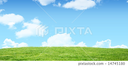A green Field and sky 14745180