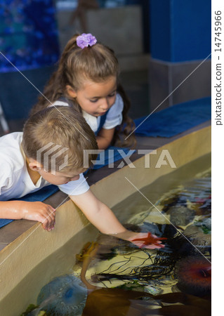 Little siblings looking at fish tank 14745966