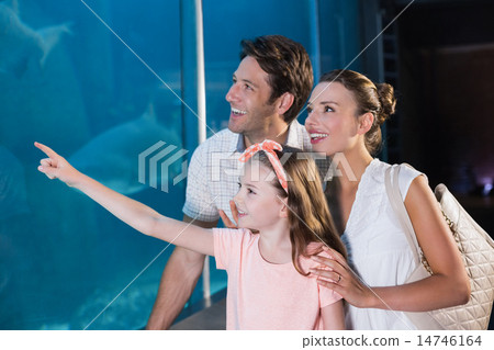 Happy family looking at fish tank Happy family looking at fish tank 14746164