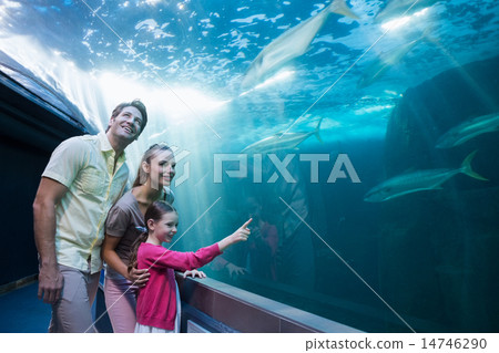 Happy family looking at tank Happy family looking at tank 14746290