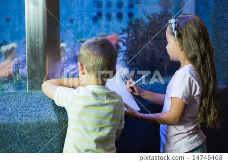 Cute siblings looking at fish tank Cute siblings looking at fish tank 14746408