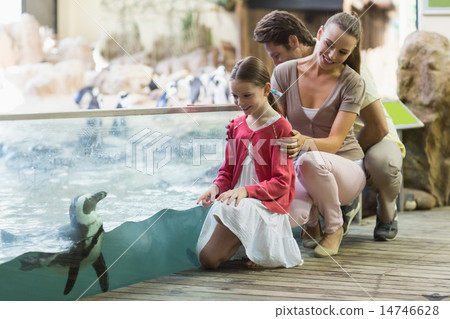 Happy family looking at penguins 14746628