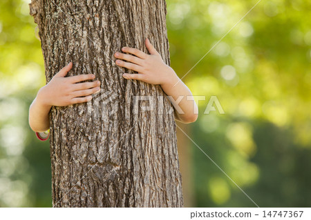 Little boy in the park hugging tree 14747367