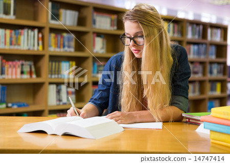 Student studying in the library Student studying in the library 14747414