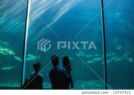 Happy family looking at fish tank 14747421