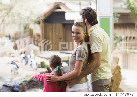 Happy family looking at penguins 14748078