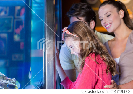 Happy family looking at fish tank Happy family looking at fish tank 14749320