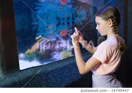 Cute girl looking at fish tank 14749447