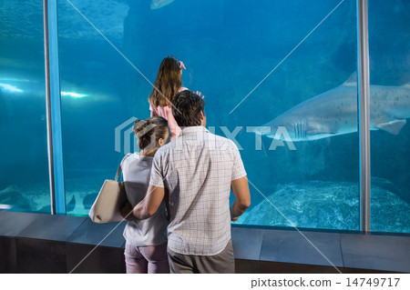 Happy family looking at fish tank Happy family looking at fish tank 14749717