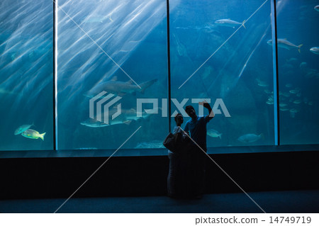 Happy family looking at fish tank 14749719