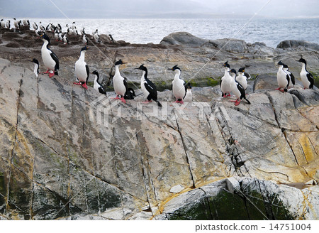 阿根廷烏斯懷亞比格爾水Umena 14751004