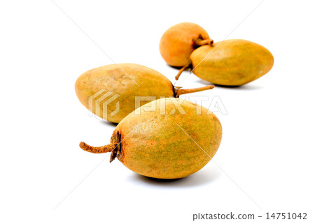 Fresh sapodillas isolated on white background Fresh sapodillas isolated on white background 14751042
