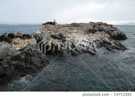 Argentina Ushuaia Beagle colonies of water supply Otalia Argentina Ushuaia Beagle colonies of water supply Otalia 14751085