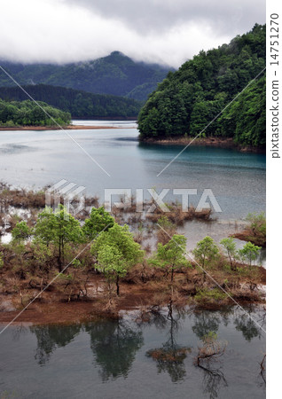 Treasure Lake 15 14751270