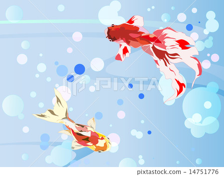 Goldfish   14751776