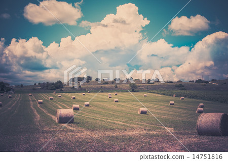 Rural landscape, France 14751816