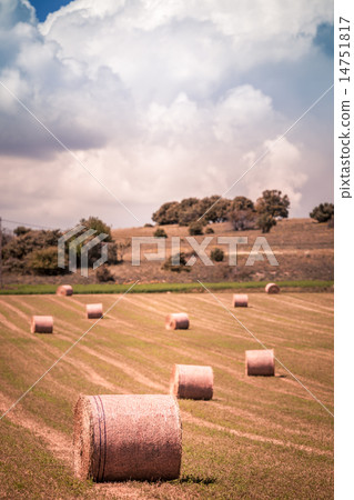 Rural landscape, France 14751817