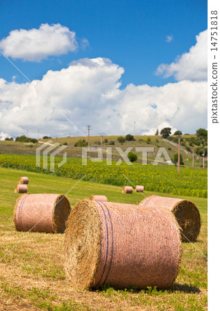 Rural landscape, France 14751818