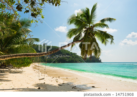 Tropical beach at Mahe island Seychelles Tropical beach at Mahe island Seychelles 14751908
