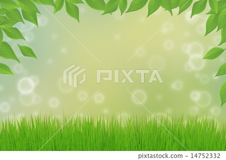 Green grass Green grass 14752332