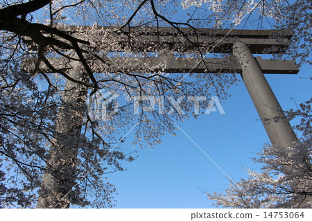 KumanoHonkyōShrineOtarii Spring 14753064