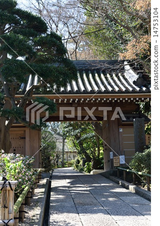 Rikunji Temple Rikunji Temple 14753104