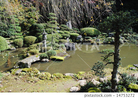 Tamagawaji garden 14753272