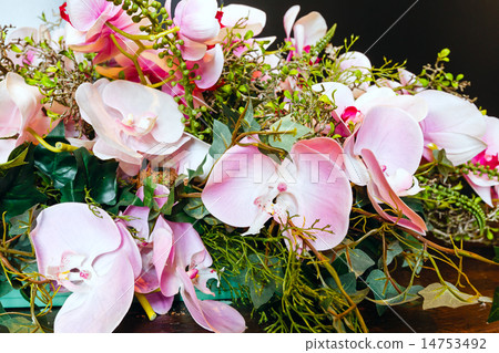 Wonderful orchid flowers composition Wonderful orchid flowers composition 14753492