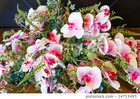 Wonderful orchid flowers composition Wonderful orchid flowers composition 14753493