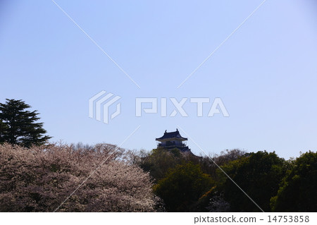 Hamamatsu Castle Park simulated celestial long distance view 14753858