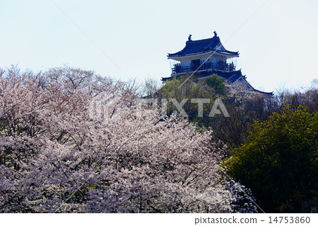Hamamatsu Castle Park simulated celestial long distance view 14753860