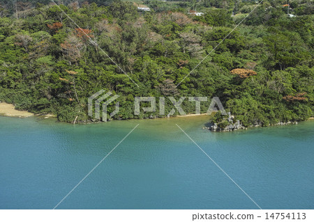 Perspective from Walmi Ohashi 14754113