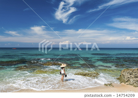 盛夏的海灘 盛夏的海灘 14754209