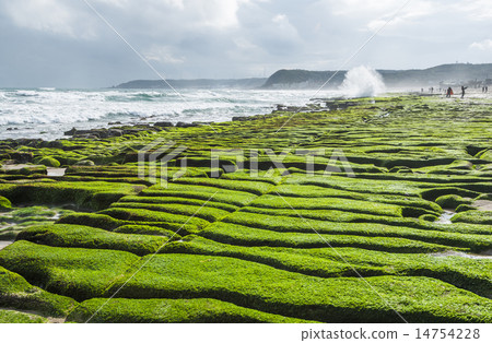 Green algae reef Green algae reef 14754228