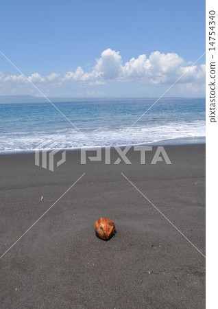 coconut on black sand 14754340