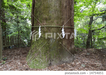 Takachiho Shrine 14754851