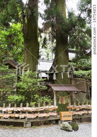 高千穗神社 高千穗神社 14754853